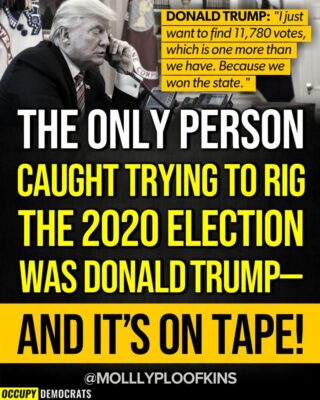 only Trump tried to rig the 2020 election