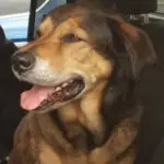 Profile photo of Jackson