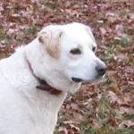 Profile photo of sandi